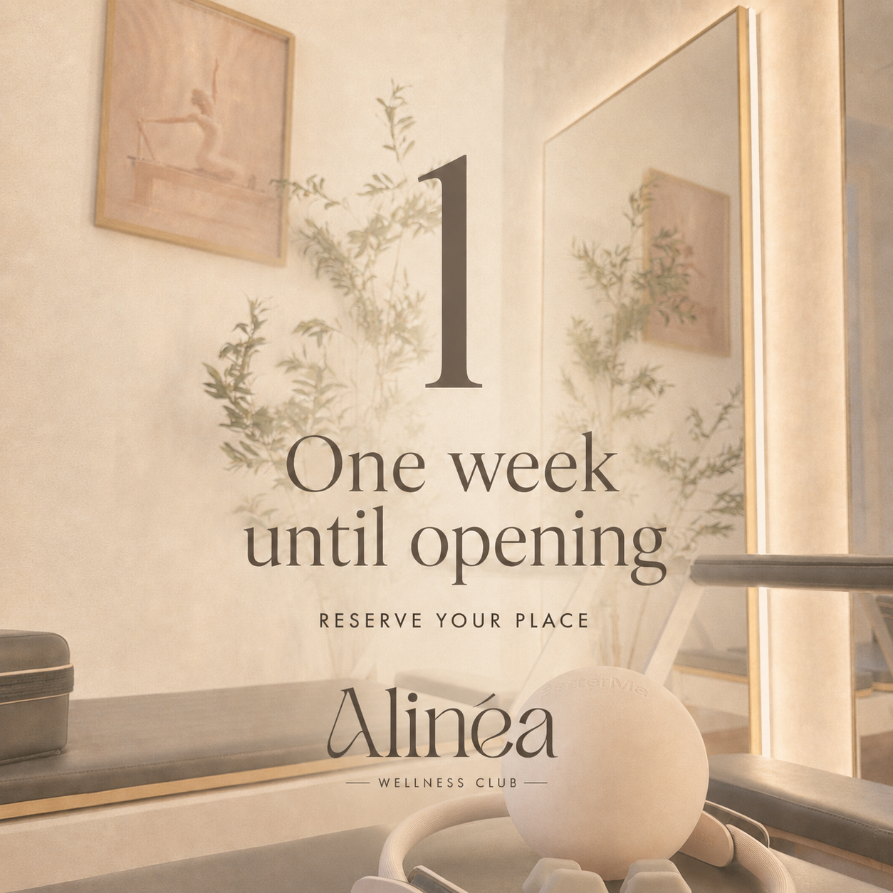 Alinéa Wellness Club generated campaign visual